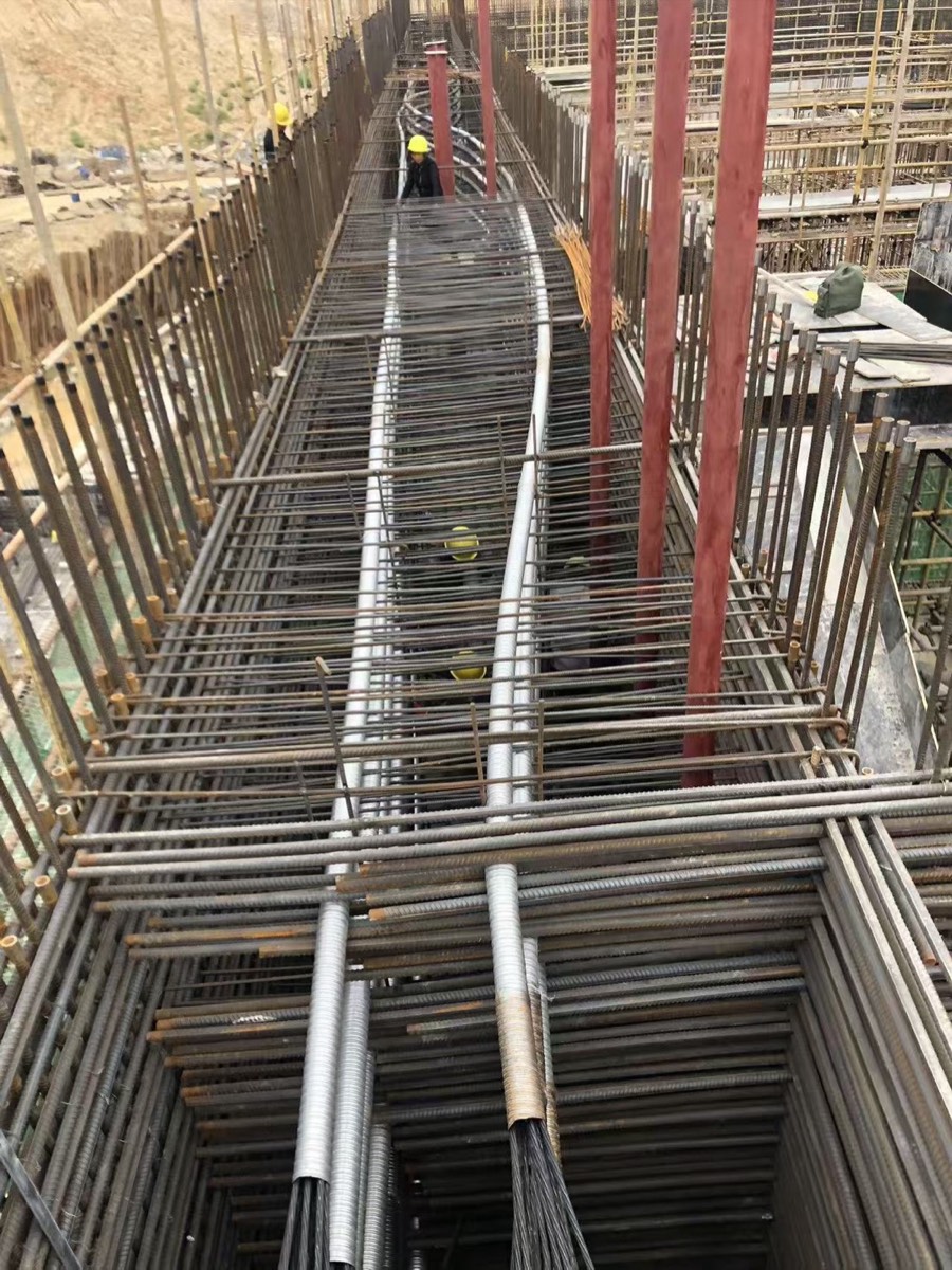 Hydraulic-works site: overall prestressing-duct layout through a heavily reinforced zone